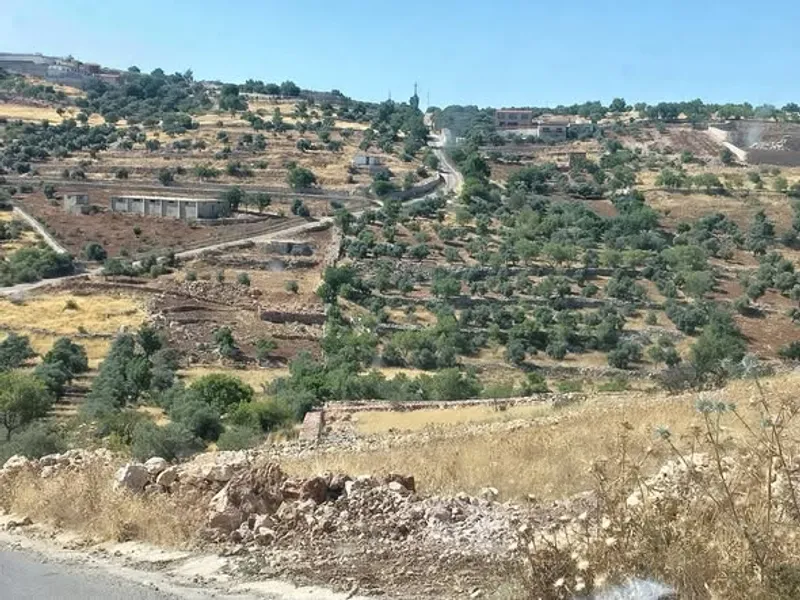 ارض للبيع مساحة 13دونم  من أراضي صخره