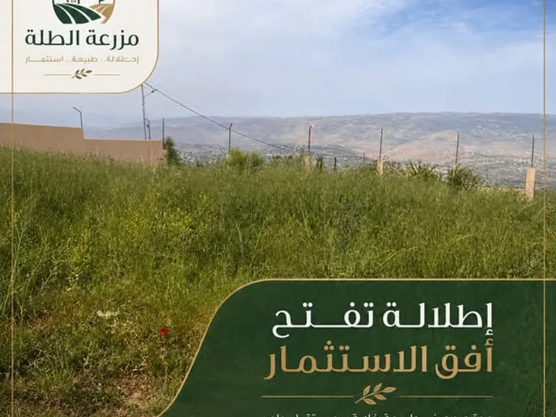 مزرعه للبيع - مزرعه الطله تجمع بين الهدوء والطبيعه
