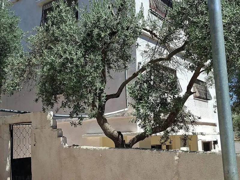 عماره بيت للبيع مميزه  منزل مستقل في جرش