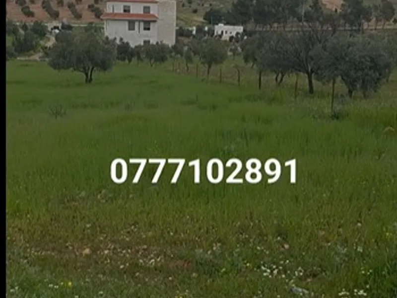 4 دونم للبيع شرقي مدينه جرش 10 كيلو في منطقه حمامه