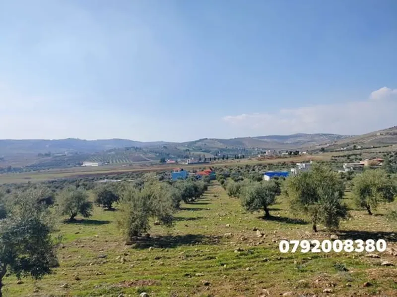 مزرعه مميزه ب موقع مميز وقريب يتوفر قطعتين متجاورا