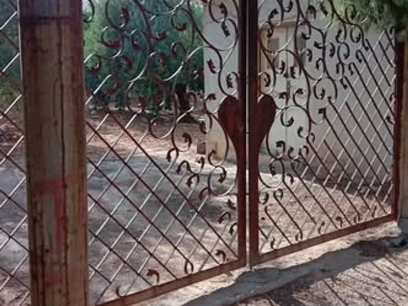 مزرعه 14.5دونم على شارع بلعما الرئيسي منطقه النزهه