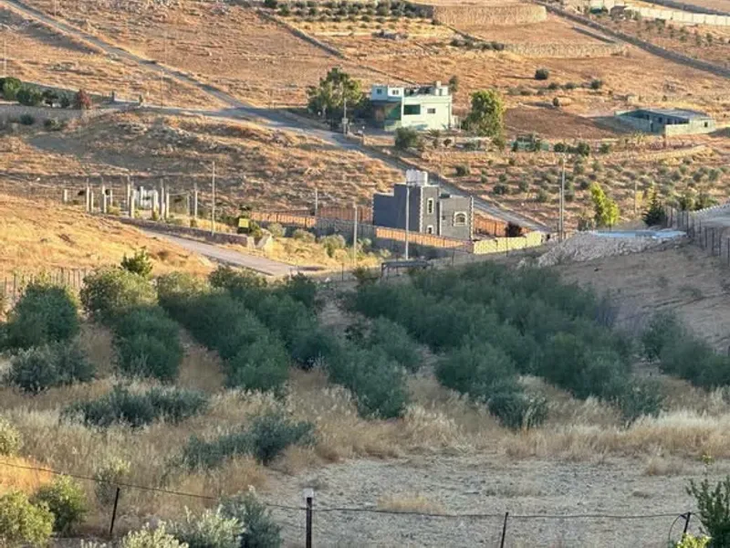 للبيع مزرعه زيتون - بلعما غرب اوتستراد اربد الزرقا