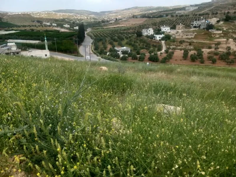 ارض مميزه للبيع في جرش الموقع النبي هود - 900 م