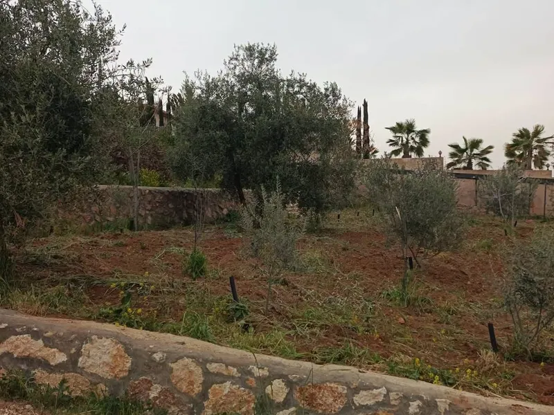 قطعة أرض للبيع ٥٠٠ متر مربع في محافظة جرش